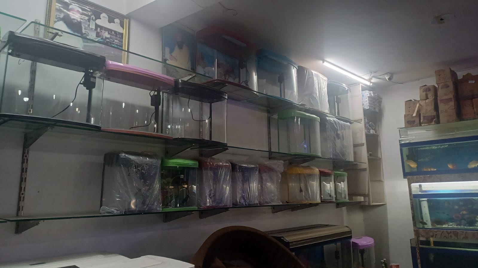Fish Aquarium