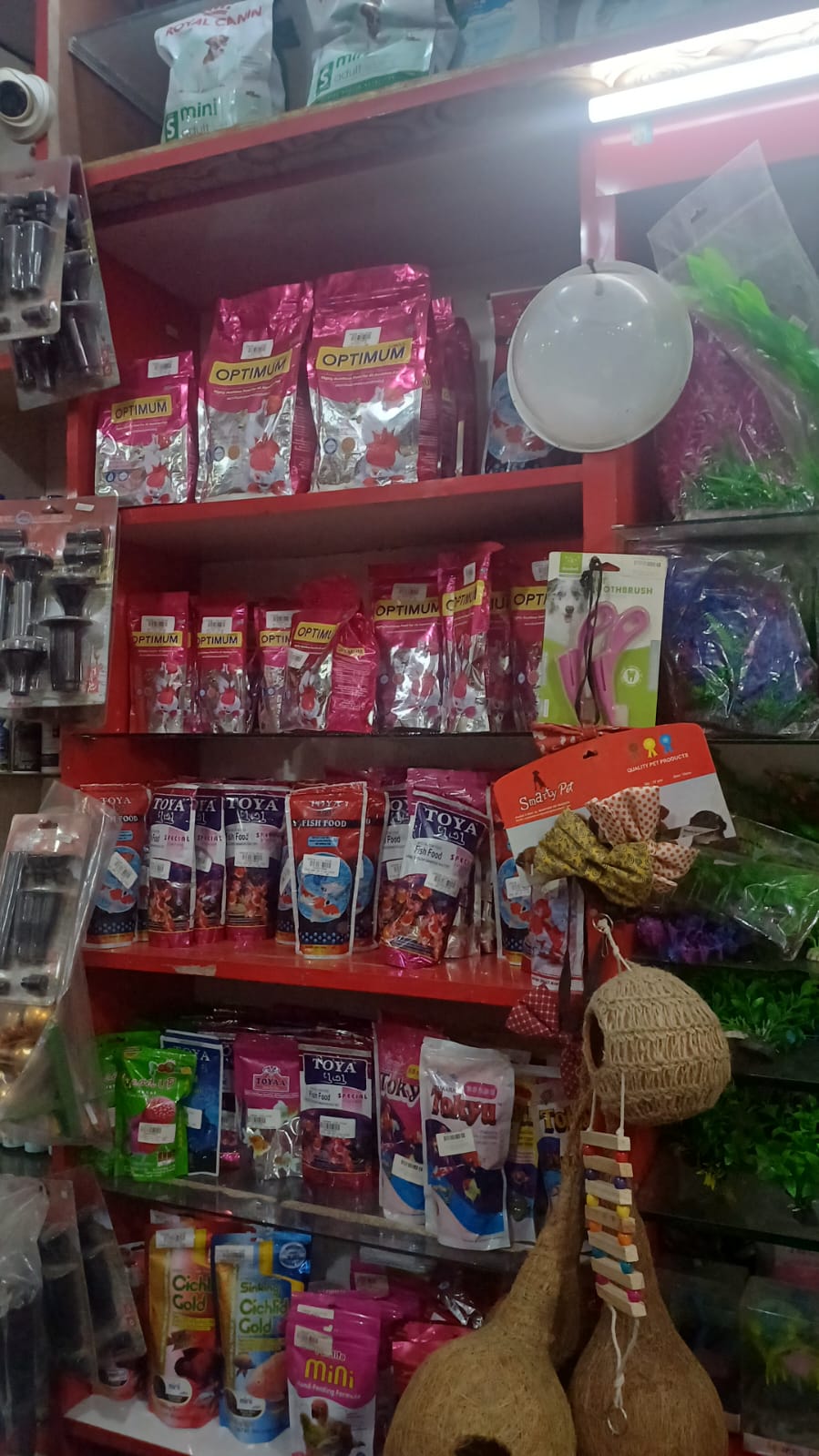 Fish Food