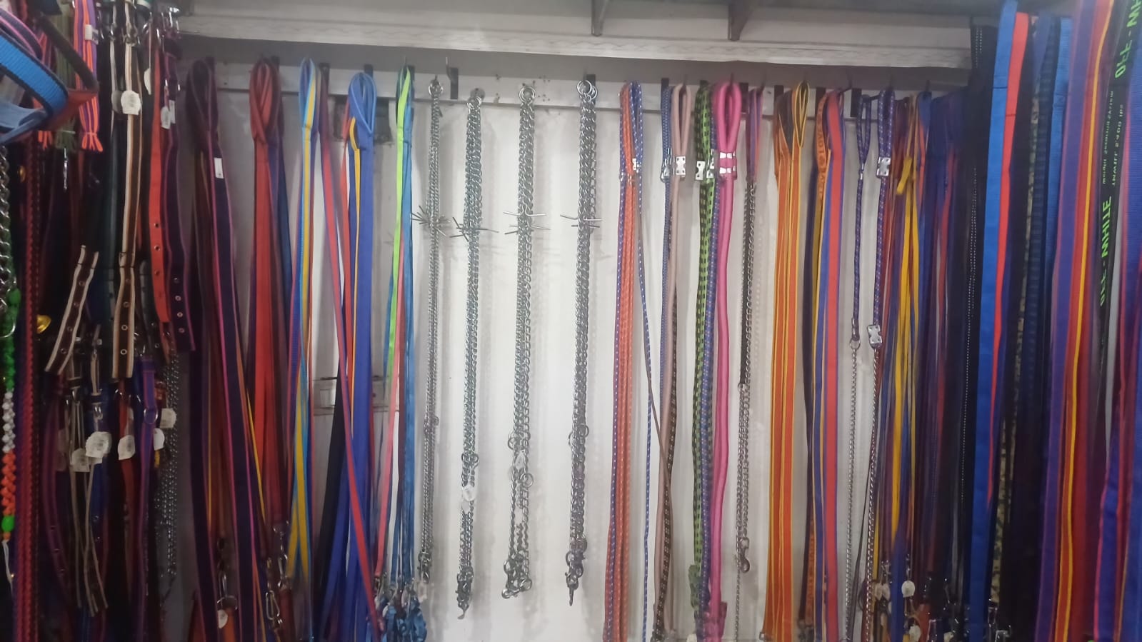 Dog Leash