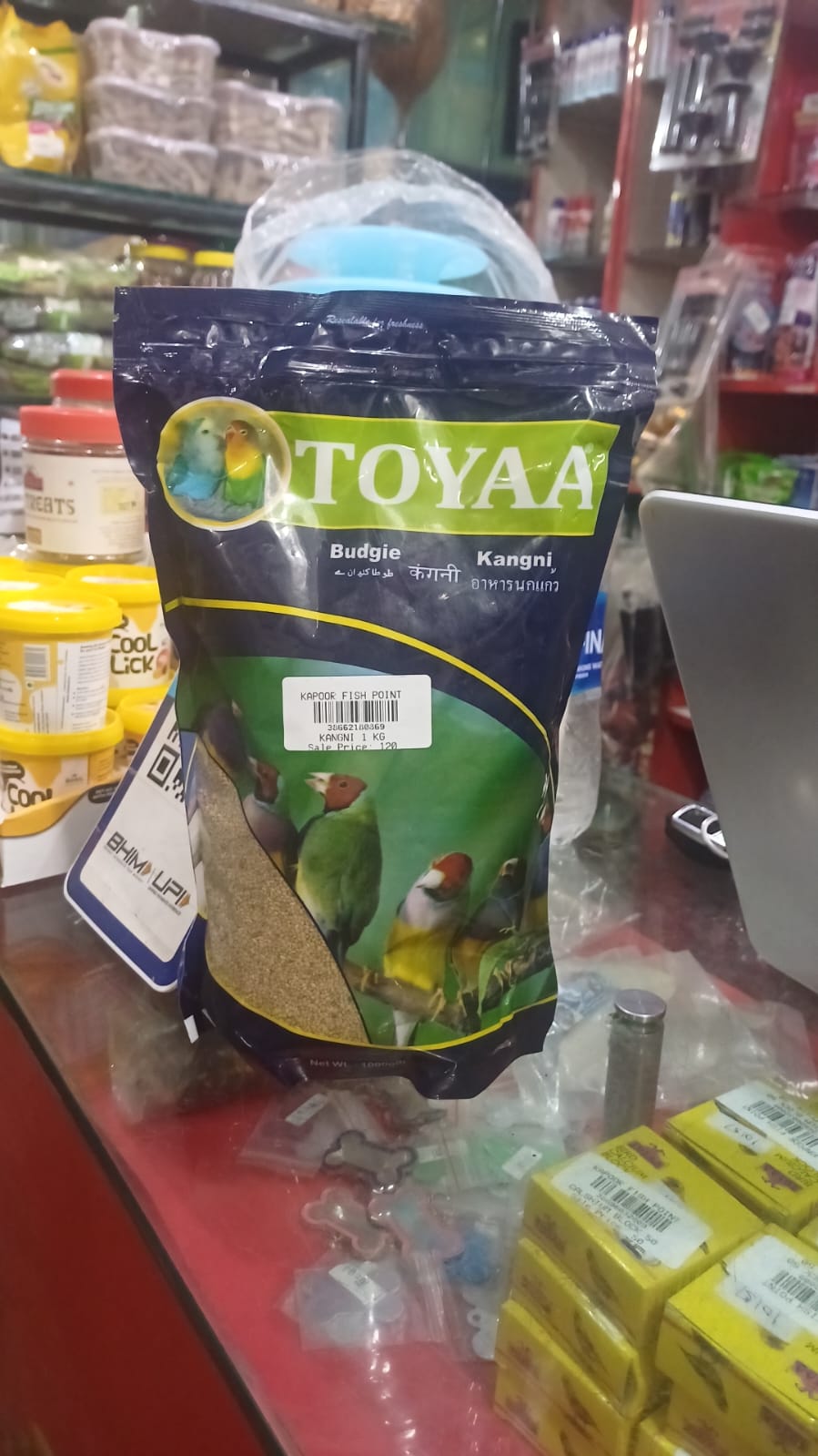 Bird Food