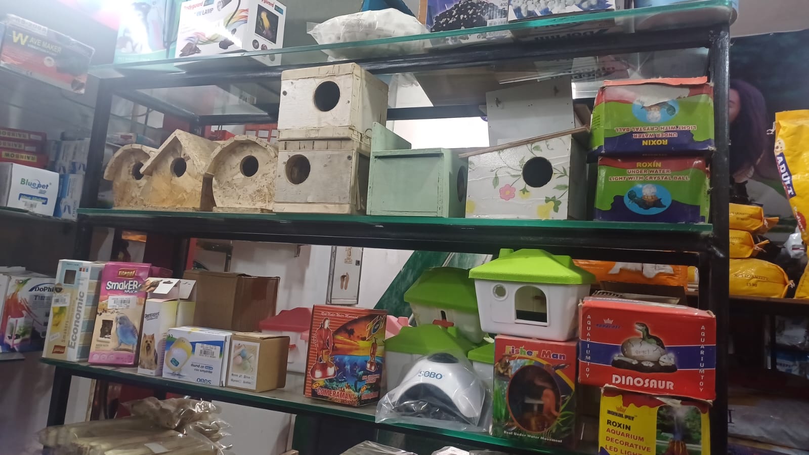 Nest