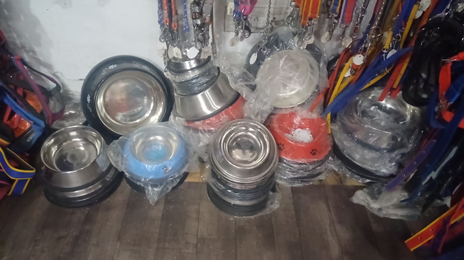 Dog Bowl